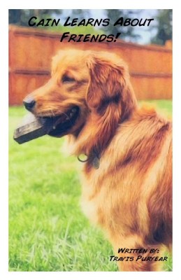 Cain Learns About Friends cover