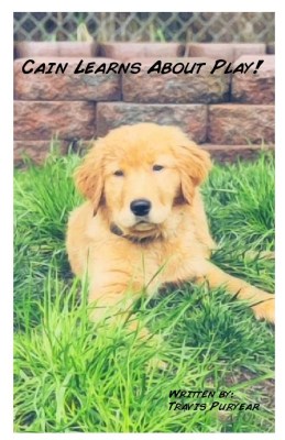 Cain Learns About Play cover